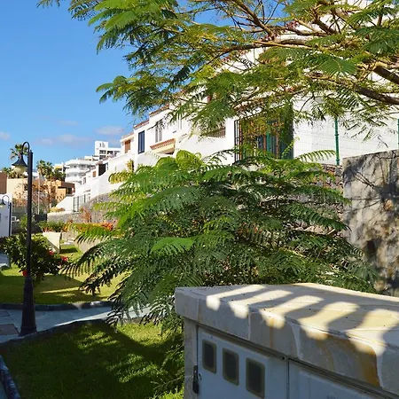 Dream Townhouse Apartment